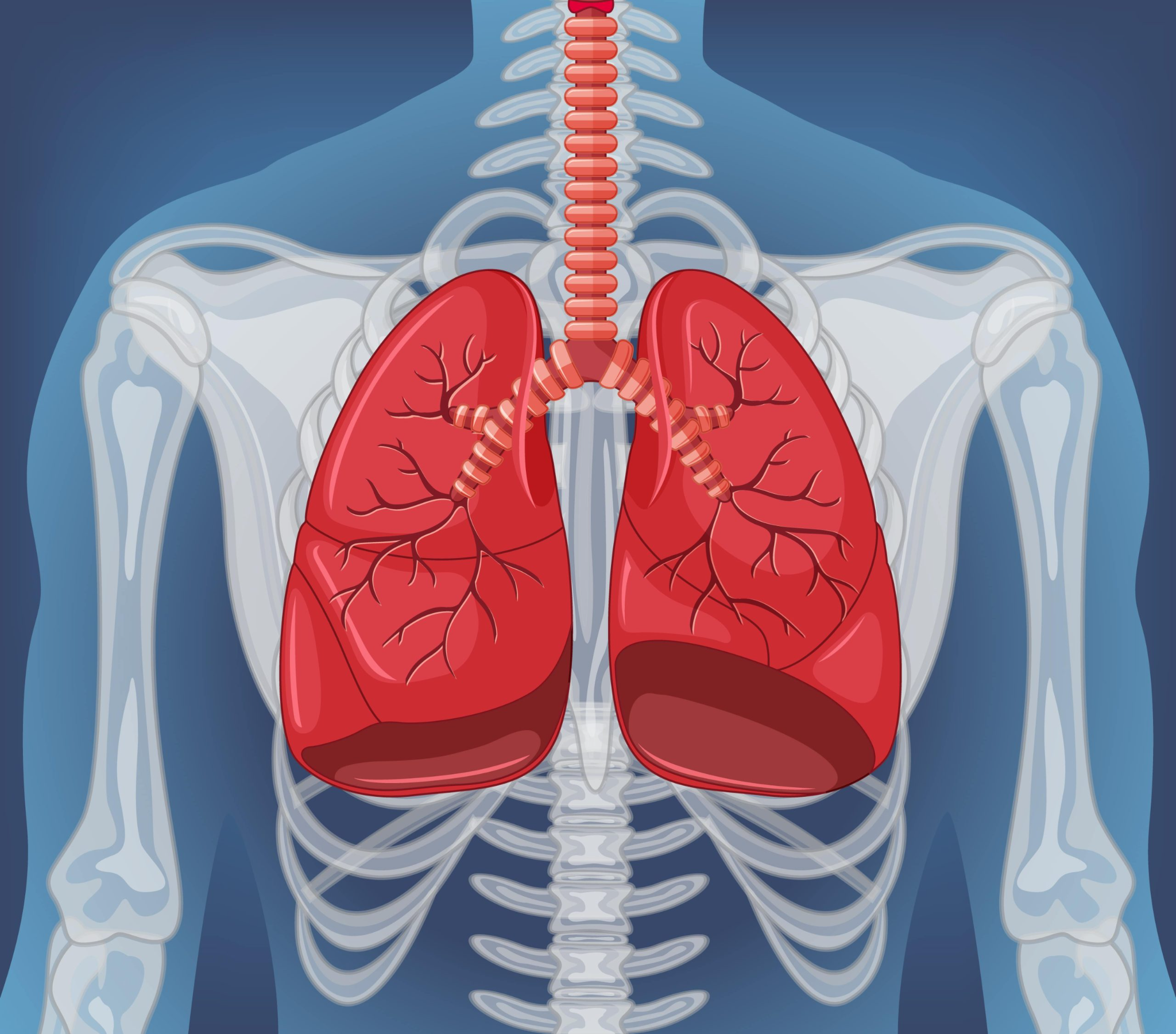 Lung disease detection project preview
