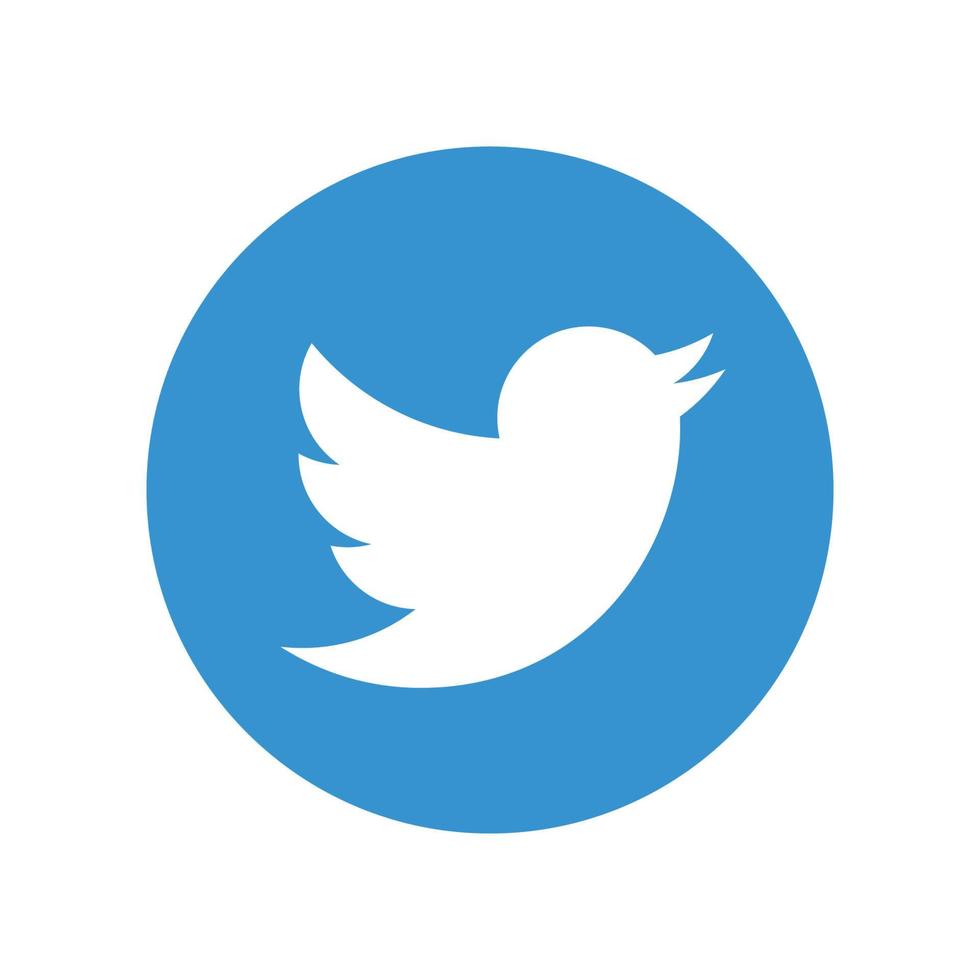 Disaster tweet classification project preview
