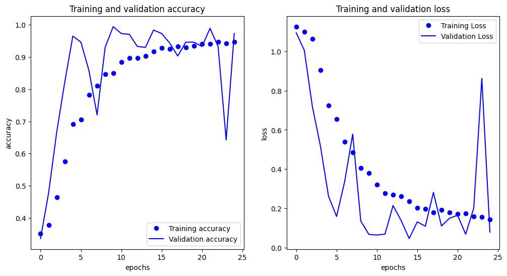 Training plot