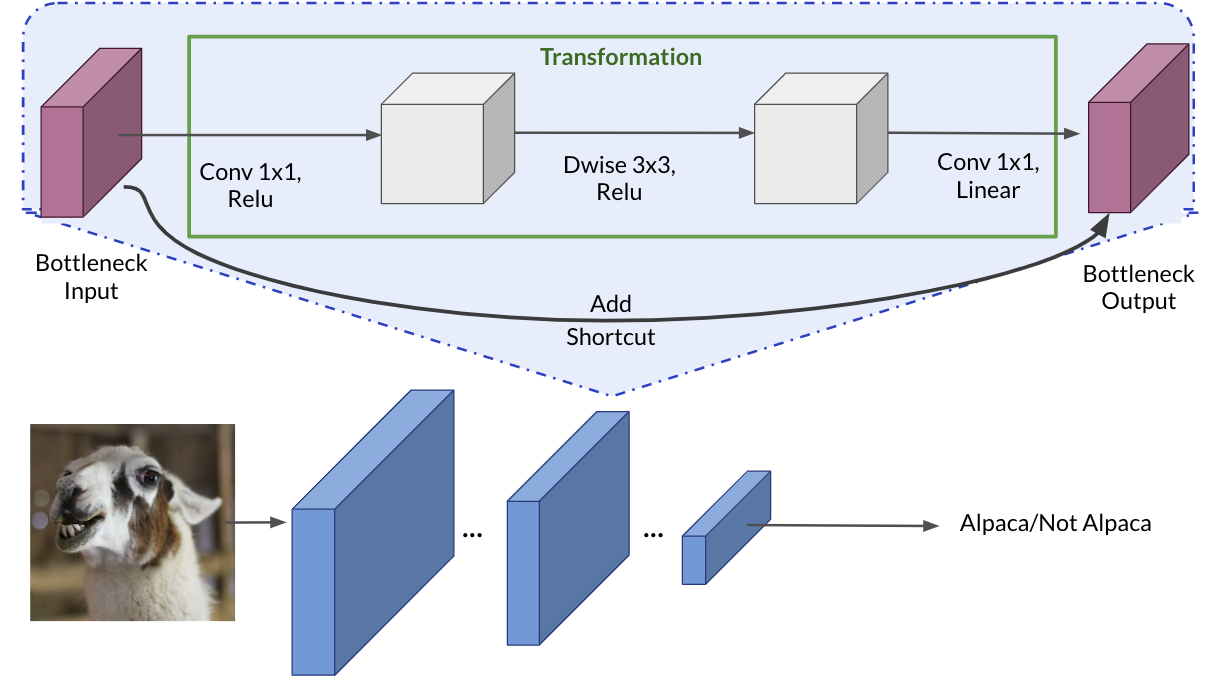 Transfer Learning with MobileNetV2
