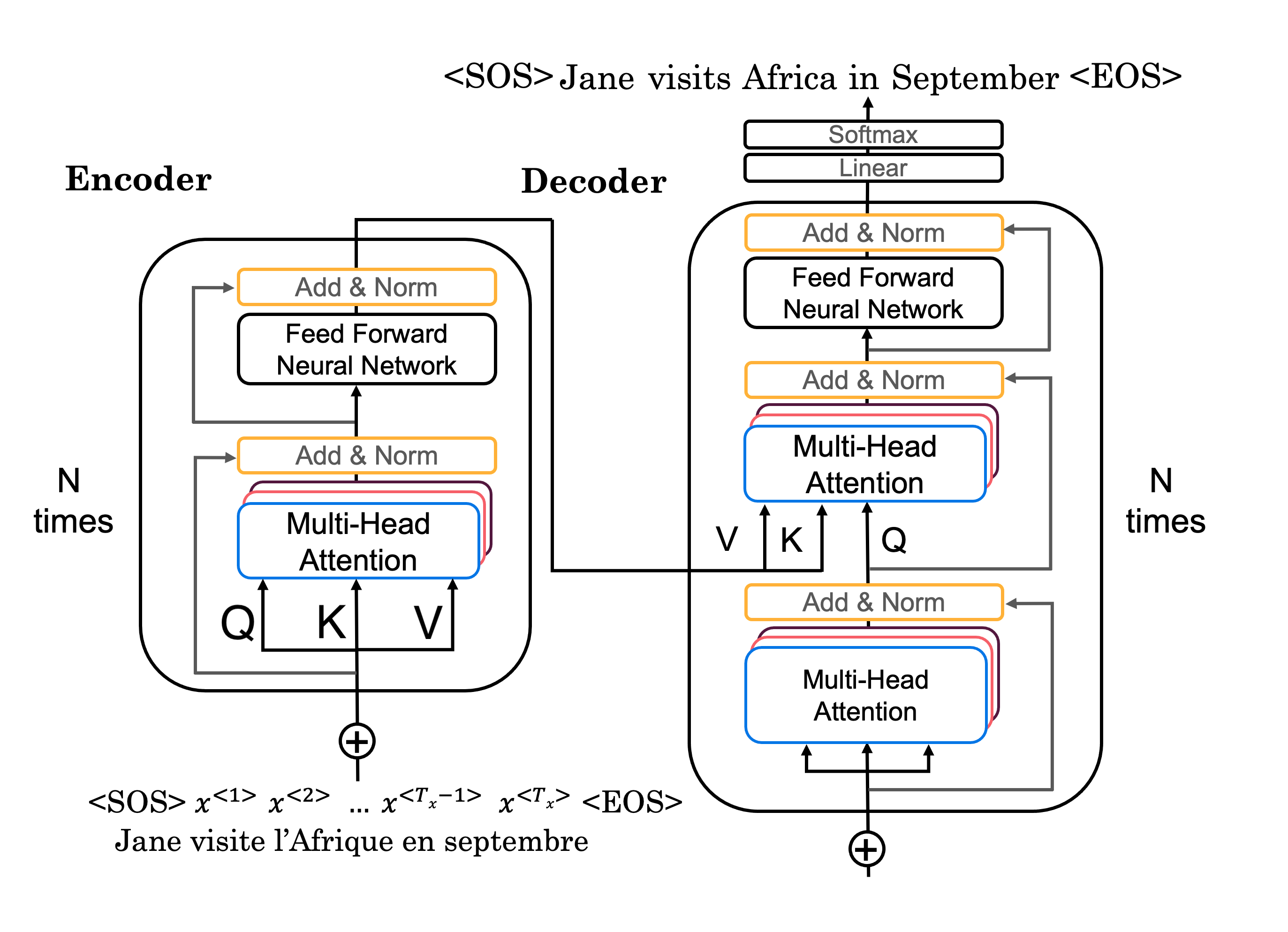 Transformer Architecture from Scratch