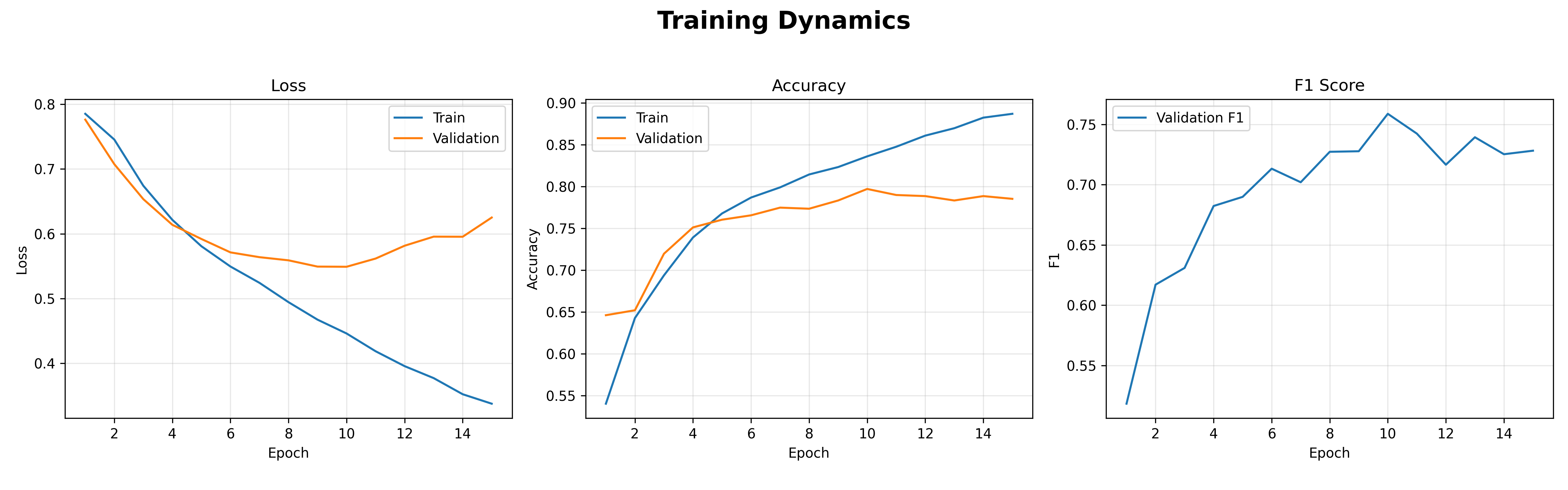 Training dynamics chart