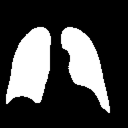 Prediction mask