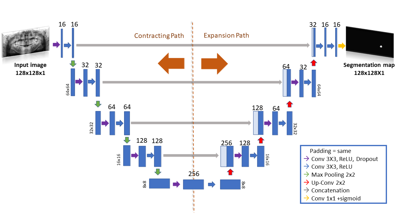 U-Net architecture