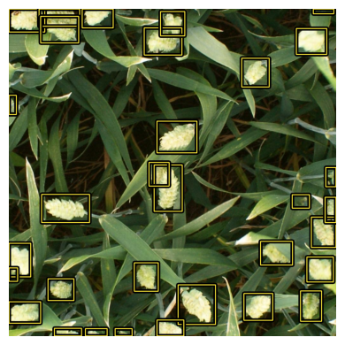 images/Final TTA WBF example 2