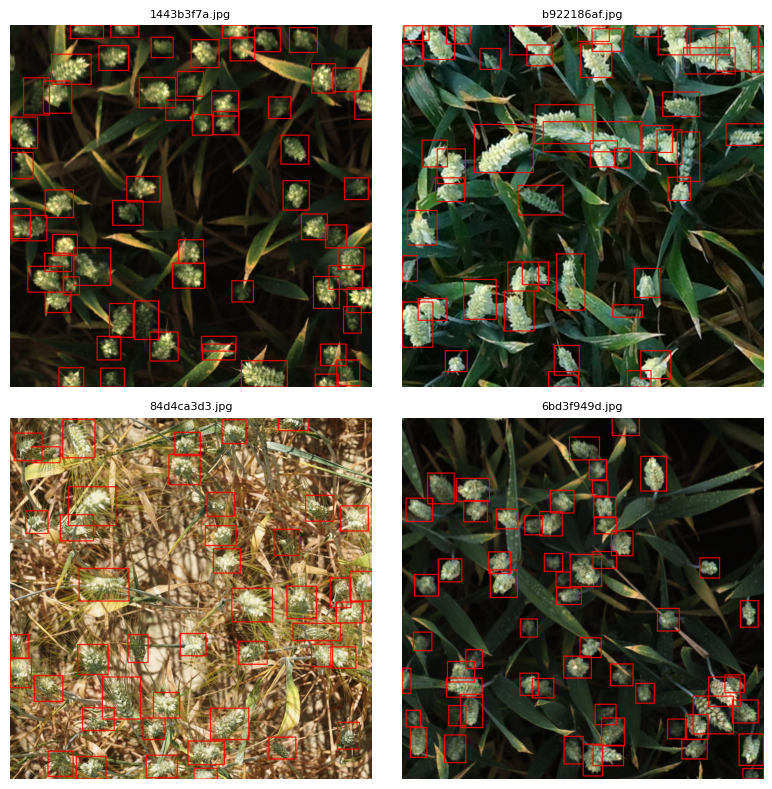 Training samples with bounding boxes