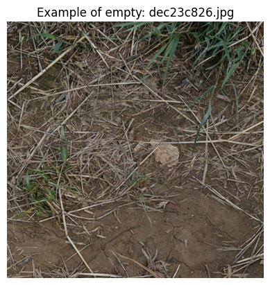 Example image with no bounding boxes